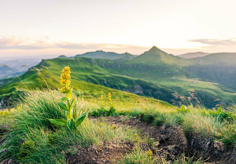 UN PATRIMOINE NATUREL