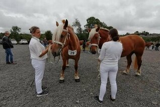 LE MASSIF CENTRAL SE PLACE POUR LE NATIONAL