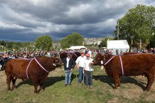 LE COMICE AGRICOLE A LIVRE SON PALMARES