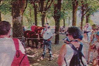 LA FÊTE DE LA VACHE ET DU FROMAGE A PU SE TENIR !