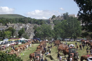 PALMARES DU CONCOURS DEPARTEMENTAL DE CHEVAUX DE RACES LOURDES QUI VIENT DE SE TENIR