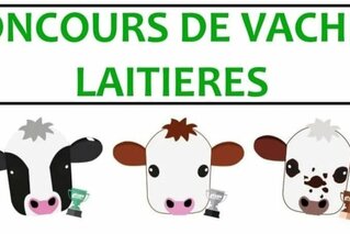 Concours de vaches laitières