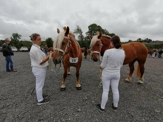 LE MASSIF CENTRAL SE PLACE POUR LE NATIONAL