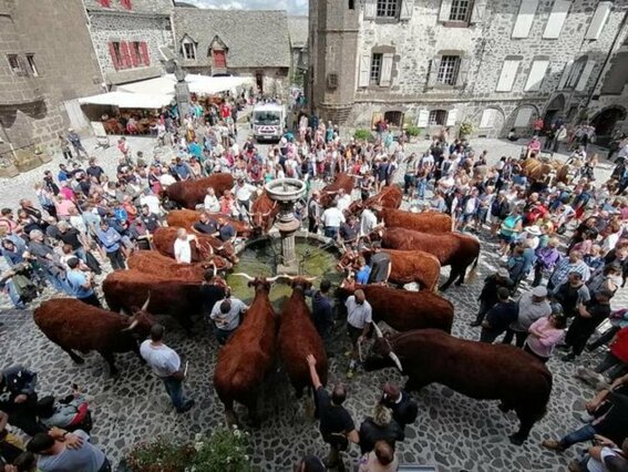 SUCCÈS POPULAIRE DE LA FÊTE DE LA VACHE