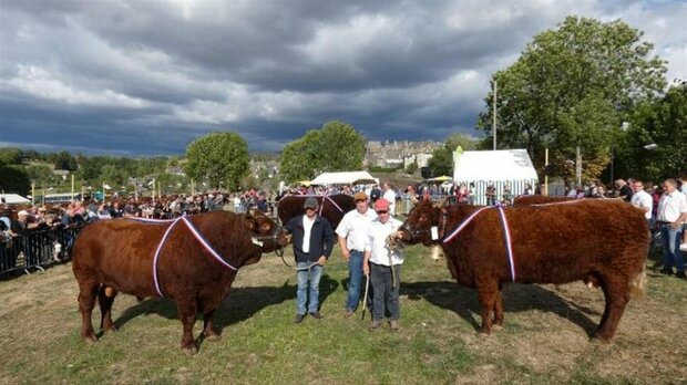 LE COMICE AGRICOLE A LIVRE SON PALMARES