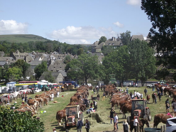 PALMARES DU CONCOURS DEPARTEMENTAL DE CHEVAUX DE RACES LOURDES QUI VIENT DE SE TENIR