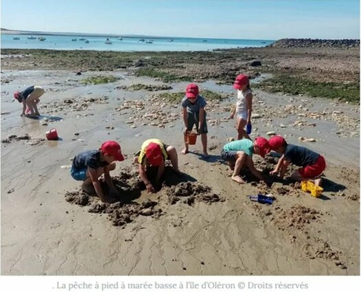 LES JEUNES AMBASSADEURS DU CANTAL A LA MER