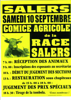 Concours de la race bovine Salers