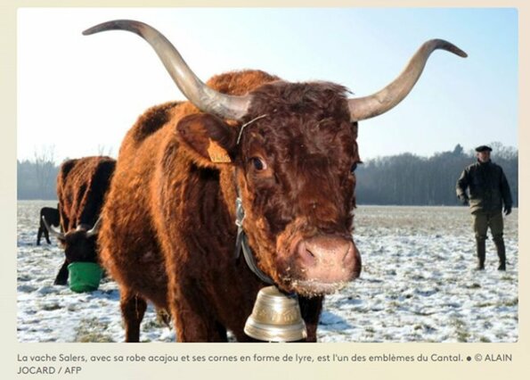 SALON DE L AGRICULTURE : NON ON NE DIT PAS VACHE SALERSSSSSE, MAIS SALERS, ON VOUS EXPLIQUE POURQUOI