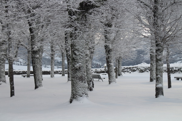 Esplanade de Barrouze (Laporte M-L)