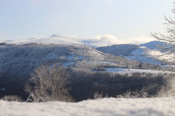 Le puy Violent (Laporte M-L)