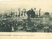 Concours de la race Salers à Salers