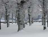 Esplanade de Barrouze (Laporte M-L)