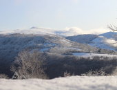 Le puy Violent (Laporte M-L)