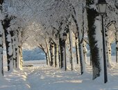 Salers, Esplanade de Barrouze (Laporte M-Laure)